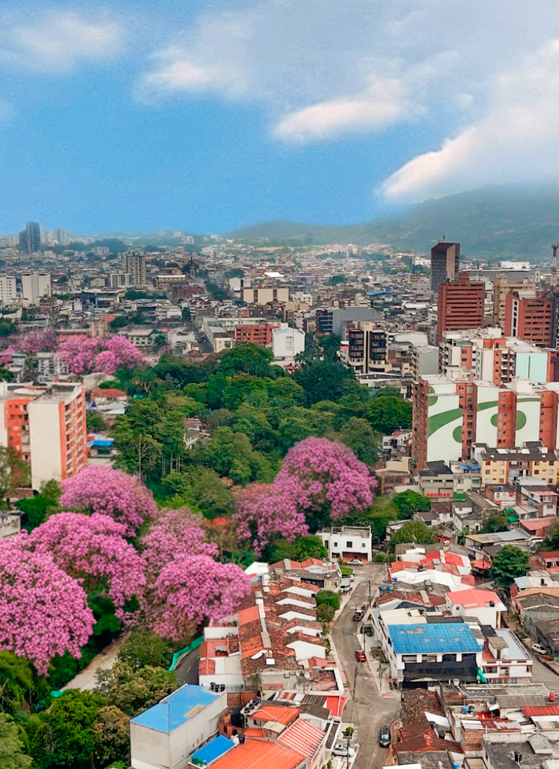 Ciudad