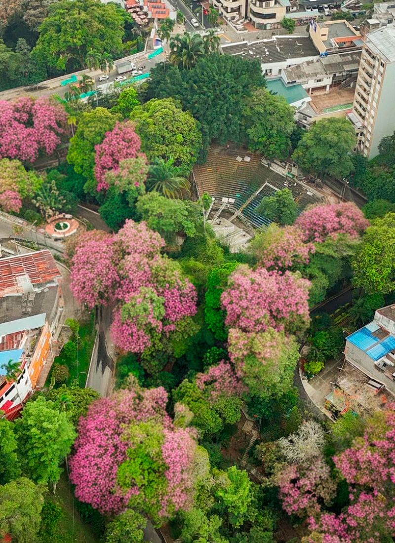 Parque centenario